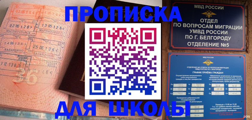 прописка иностранных граждан в Пионерском